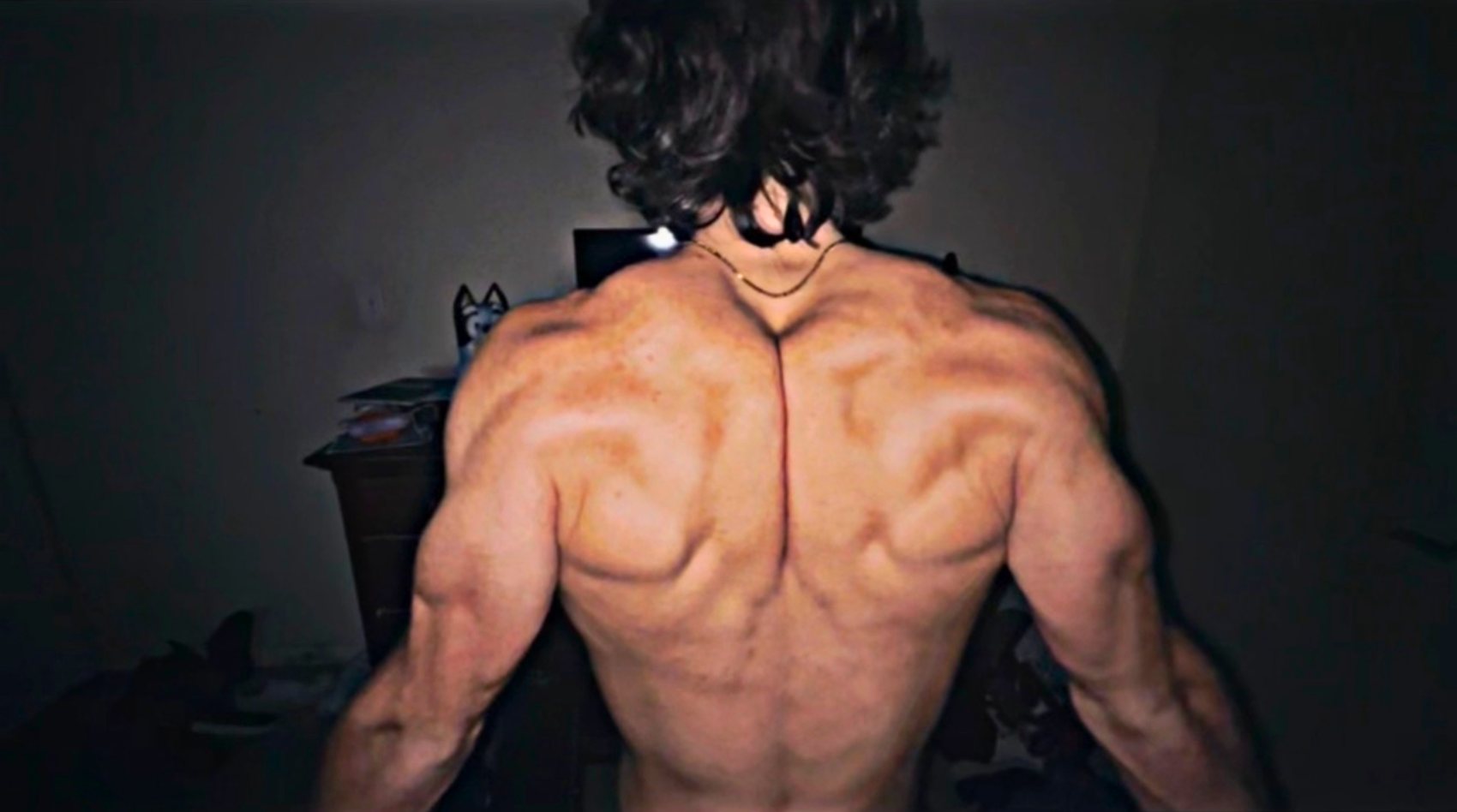 Muscular, defined back built with home calisthenics and weighted pull-ups, natural transformation